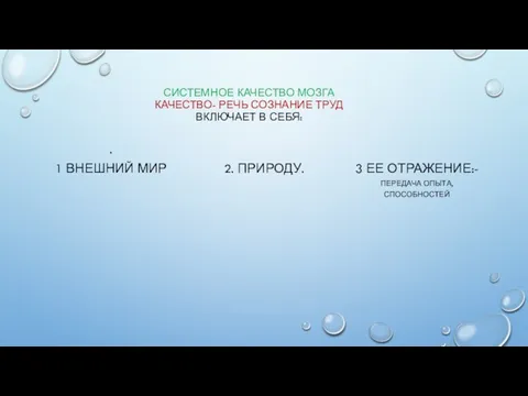 СИСТЕМНОЕ КАЧЕСТВО МОЗГА КАЧЕСТВО- РЕЧЬ СОЗНАНИЕ ТРУД ВКЛЮЧАЕТ В СЕБЯ: