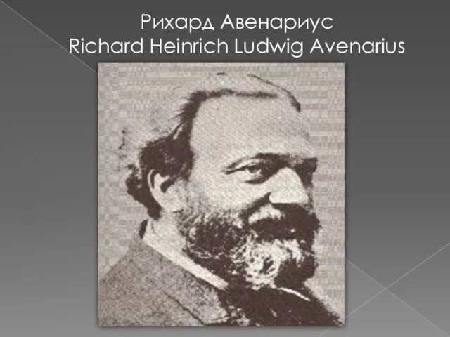 Рихард Авенариус Richard Heinrich Ludwig Avenarius