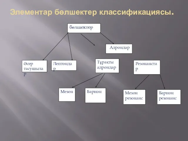 Элементар бөлшектер классификациясы. бөлшектер Әсер тасушылар Лептондар Адрондар Тұрақты адрондар