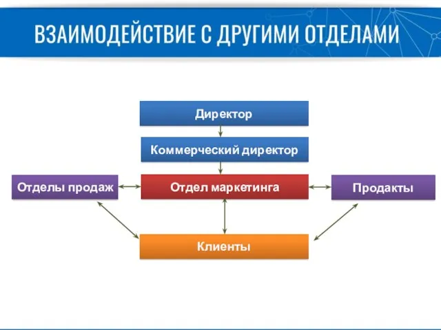 Отдел маркетинга Клиенты Продакты Коммерческий директор Отделы продаж Директор