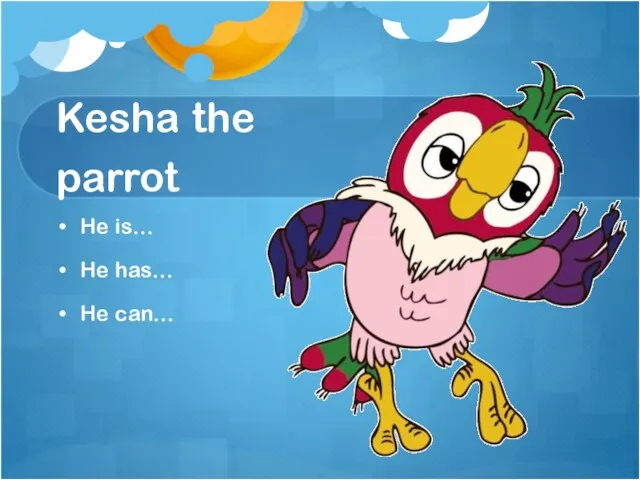 Kesha the parrot He is… He has… He can…