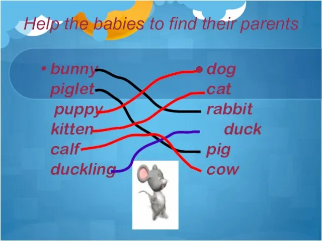 dog cat rabbit duck pig cow bunny piglet puppy kitten calf duckling Help