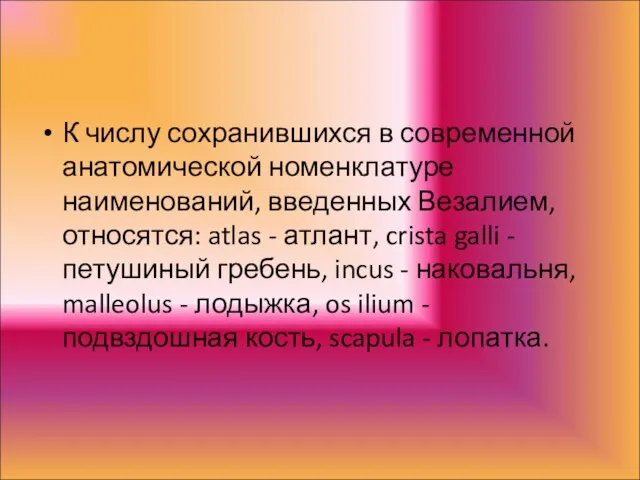 К числу сохранившихся в современной анатомической номенклатуре наименований, введенных Везалием,