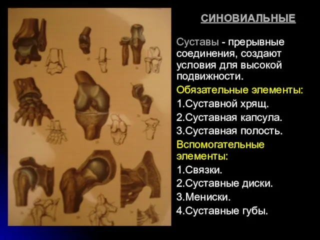 СИНОВИАЛЬНЫЕ Суставы - прерывные соединения, создают условия для высокой подвижности.