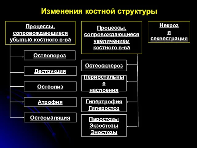 Изменения костной структуры Процессы, сопровождающиеся убылью костного в-ва Процессы, сопровождающиеся