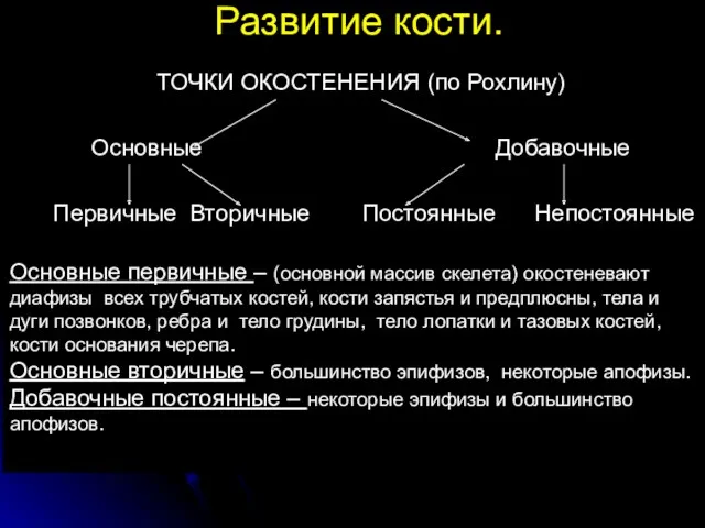 Развитие кости. ТОЧКИ ОКОСТЕНЕНИЯ (по Рохлину) Основные Добавочные Первичные Вторичные