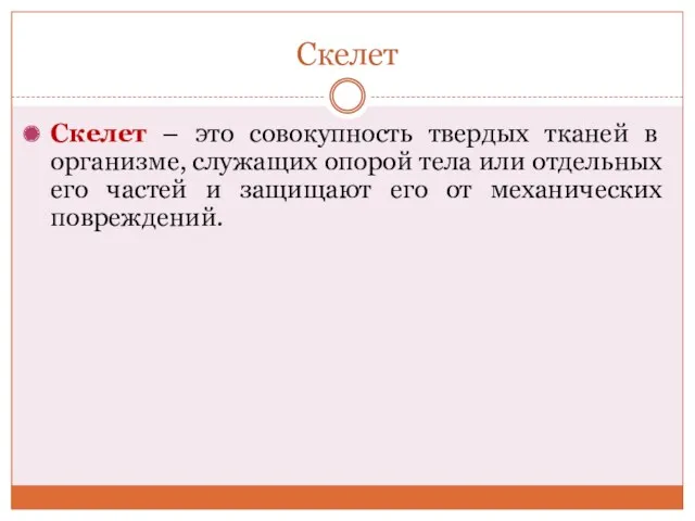 Скелет Скелет – это совокупность твердых тканей в организме, служащих