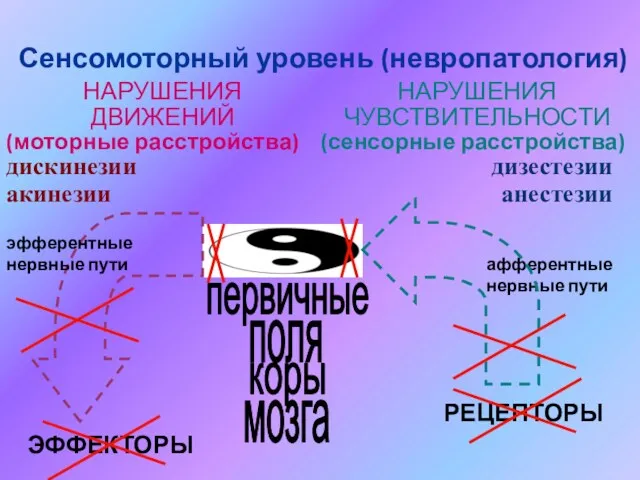 Сенсомоторный уровень (невропатология) НАРУШЕНИЯ ЧУВСТВИТЕЛЬНОСТИ (сенсорные расстройства) афферентные нервные пути