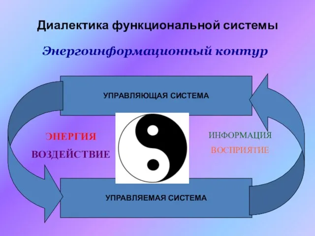 Диалектика функциональной системы Энергоинформационный контур УПРАВЛЯЮЩАЯ СИСТЕМА УПРАВЛЯЕМАЯ СИСТЕМА ЭНЕРГИЯ ВОЗДЕЙСТВИЕ ИНФОРМАЦИЯ ВОСПРИЯТИЕ