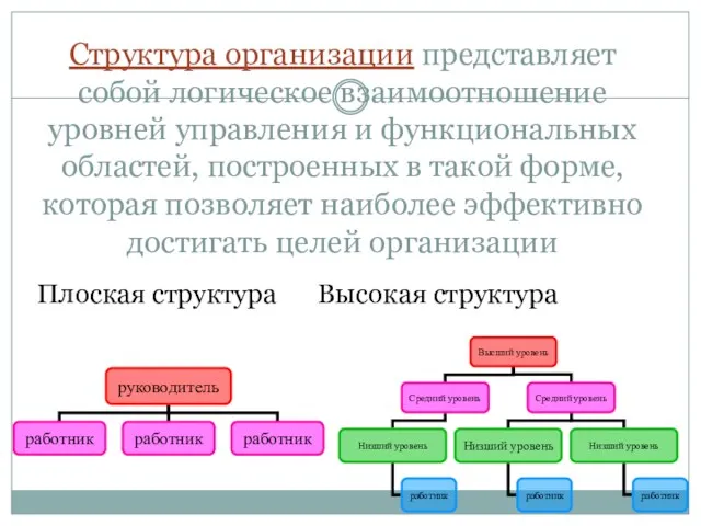 Структура организации представляет собой логическое взаимоотношение уровней управления и функциональных