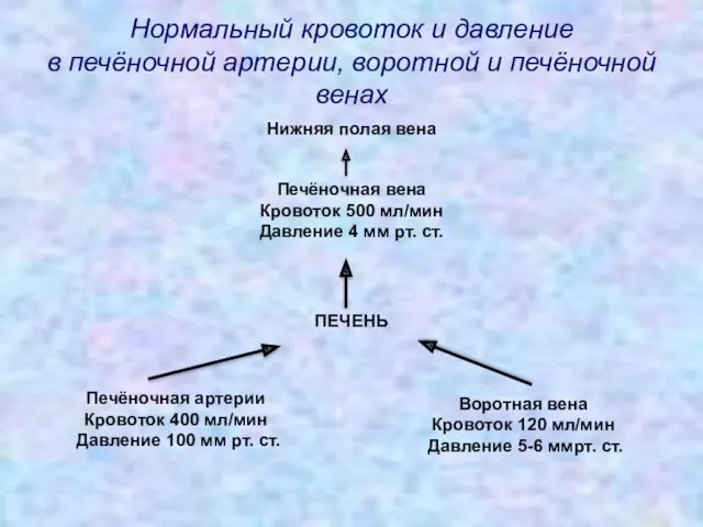 Нормальный кровоток и давление в печёночной артерии, воротной и печёночной