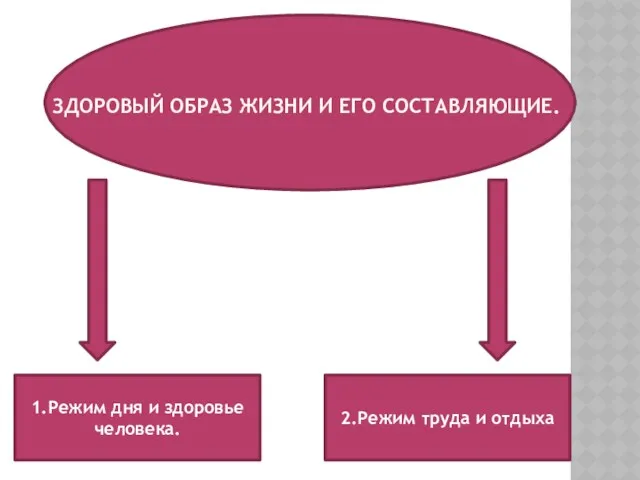 ЗДОРОВЫЙ ОБРАЗ ЖИЗНИ И ЕГО СОСТАВЛЯЮЩИЕ. 1.Режим дня и здоровье человека. 2.Режим труда и отдыха