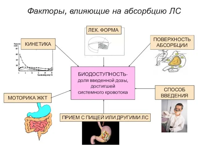 Факторы, влияющие на абсорбцию ЛС КИНЕТИКА СПОСОБ ВВЕДЕНИЯ БИОДОСТУПНОСТЬ- доля введенной дозы, достигшей