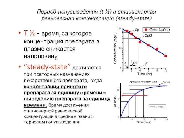 Период полувыведения (t ½) и стационарная равновесная концентрация (steady-state) T ½ - время,