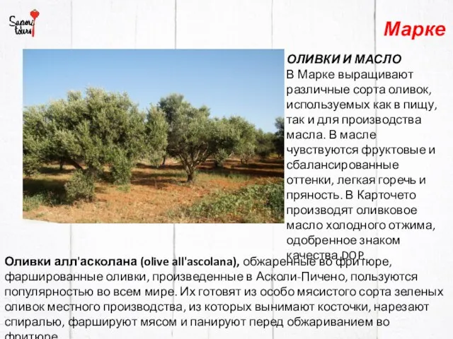 Марке Оливки алл'асколана (olive all'ascolana), обжаренные во фритюре, фаршированные оливки,