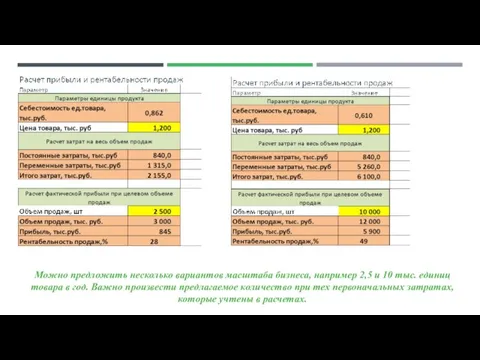 Можно предложить несколько вариантов масштаба бизнеса, например 2,5 и 10