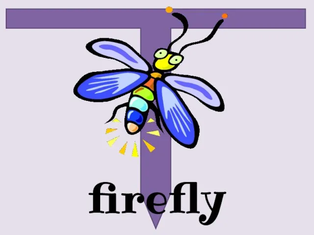 firefly