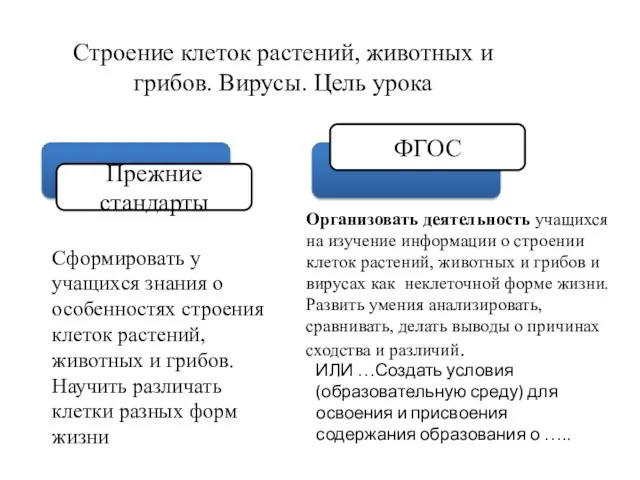 Организовать деятельность учащихся на изучение информации о строении клеток растений,