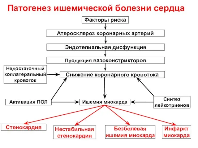 Факторы риска Атеросклероз коронарных артерий Эндотелиальная дисфункция Продукция вазоконстрикторов Снижение