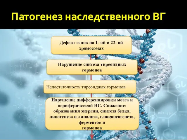 Патогенез наследственного ВГ Дефект генов на 1- ой и 22- ой хромосомах Нарушение