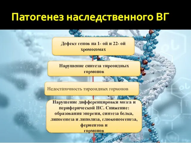 Патогенез наследственного ВГ Дефект генов на 1- ой и 22-