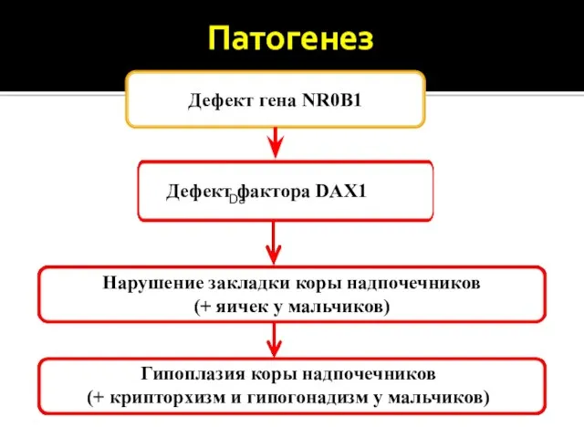 Патогенез Дефект гена NR0B1 Da Дефект фактора DAX1 Нарушение закладки