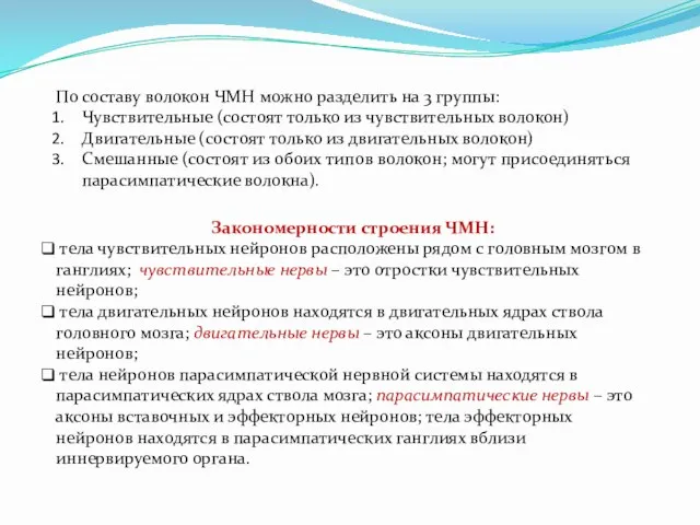 По составу волокон ЧМН можно разделить на 3 группы: Чувствительные