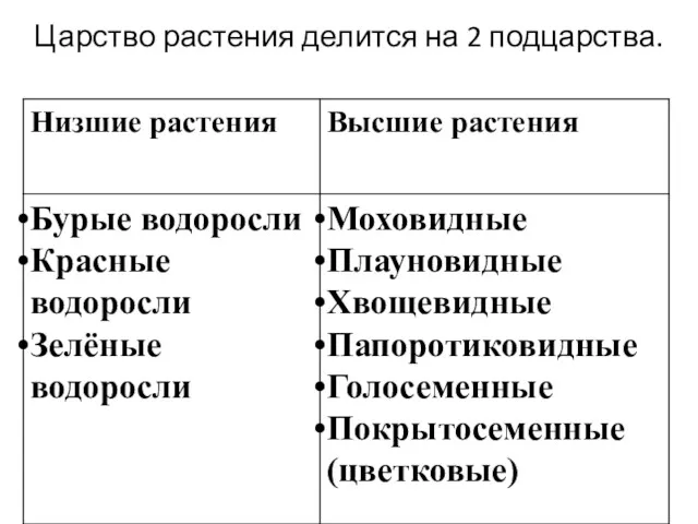 Царство растения делится на 2 подцарства.