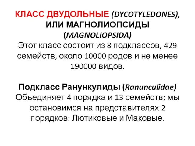 КЛАСС ДВУДОЛЬНЫЕ (DYCOTYLEDONES), ИЛИ МАГНОЛИОПСИДЫ (MAGNOLIOPSIDA) Этот класс состоит из