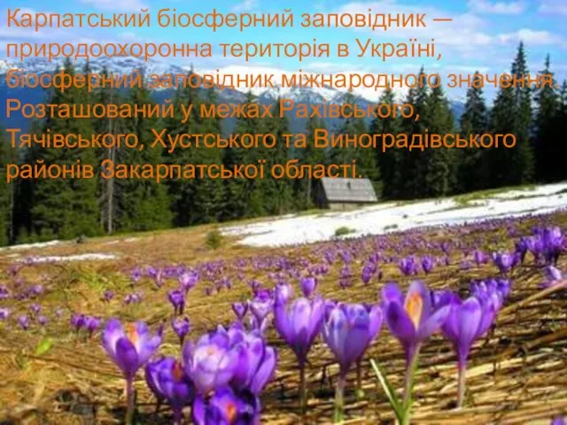 Карпатський біосферний заповідник — природоохоронна територія в Україні, біосферний заповідник