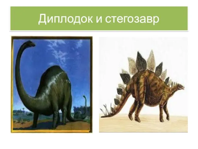 Диплодок и стегозавр