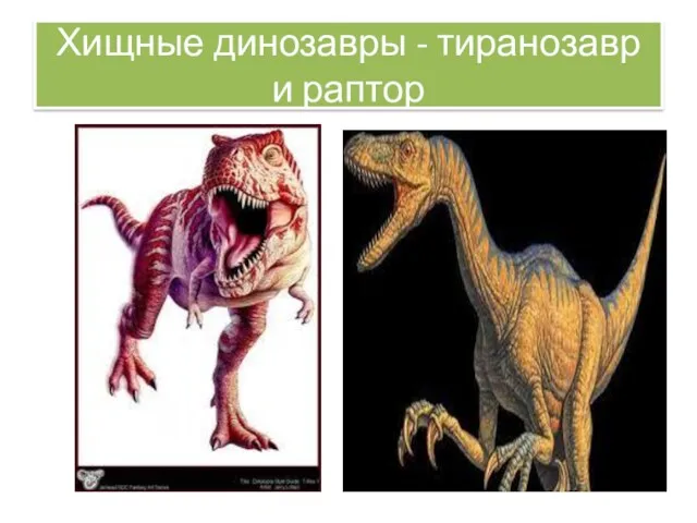 Хищные динозавры - тиранозавр и раптор