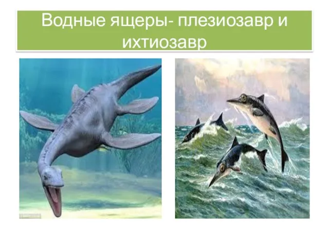 Водные ящеры- плезиозавр и ихтиозавр