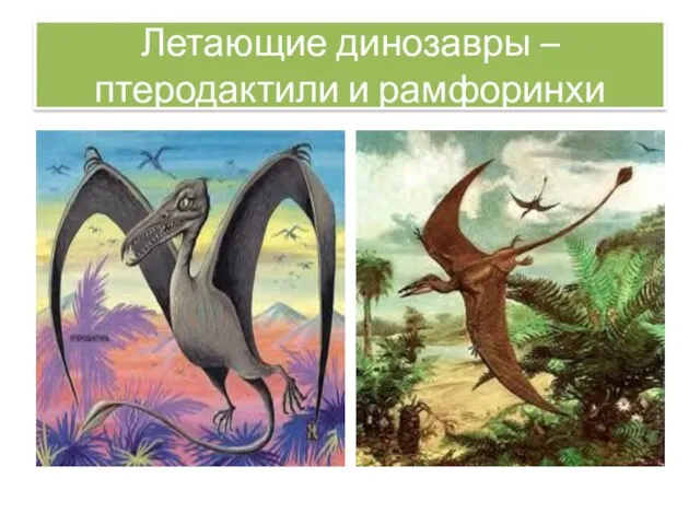 Летающие динозавры – птеродактили и рамфоринхи