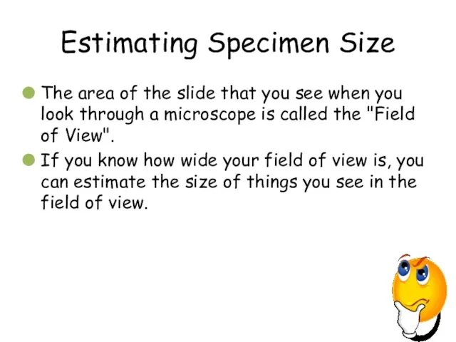 Estimating Specimen Size The area of the slide that you