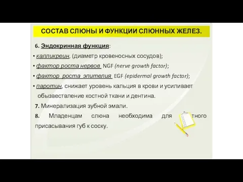 СОСТАВ СЛЮНЫ И ФУНКЦИИ СЛЮННЫХ ЖЕЛЕЗ. 6. Эндокринная функция: калликреин,