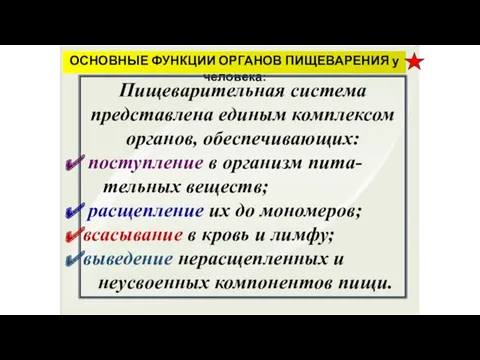 ОСНОВНЫЕ ФУНКЦИИ ОРГАНОВ ПИЩЕВАРЕНИЯ у человека: Пищеварительная система представлена единым