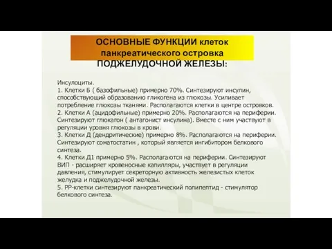 ОСНОВНЫЕ ФУНКЦИИ клеток панкреатического островка ПОДЖЕЛУДОЧНОЙ ЖЕЛЕЗЫ: Инсулоциты. 1. Клетки