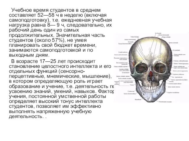 Учебное время студентов в среднем составляет 52—58 ч в неделю