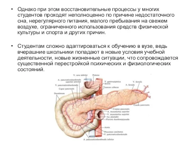 Однако при этом восстановительные процессы у многих студентов проходят неполноценно