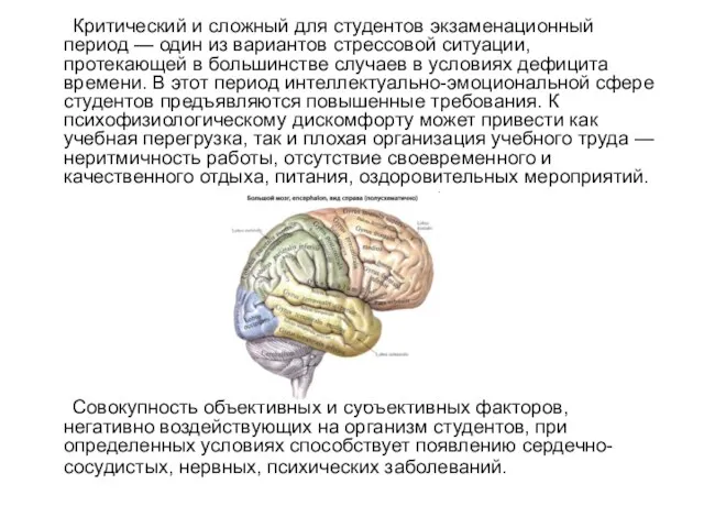 Критический и сложный для студентов экзаменационный период — один из