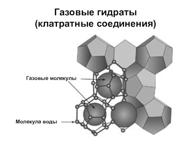 Газовые гидраты (клатратные соединения) Молекула воды Газовые молекулы