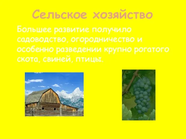 Сельское хозяйство Большее развитие получило садоводство, огородничество и особенно разведении крупно рогатого скота, свиней, птицы.