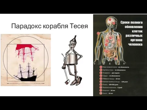 Парадокс корабля Тесея