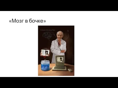 «Мозг в бочке»