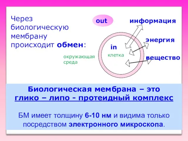 Через биологическую мембрану происходит обмен: вещество энергия информация клетка окружающая