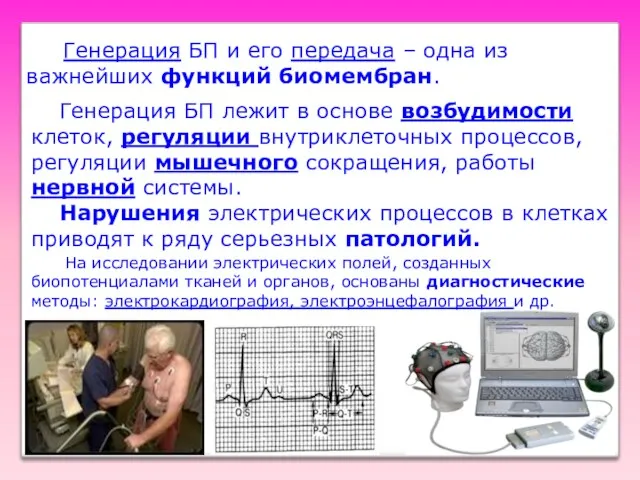 Генерация БП и его передача – одна из важнейших функций