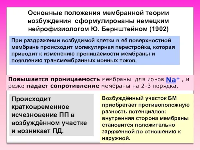 Основные положения мембранной теории возбуждения сформулированы немецким нейрофизиологом Ю. Бернштейном