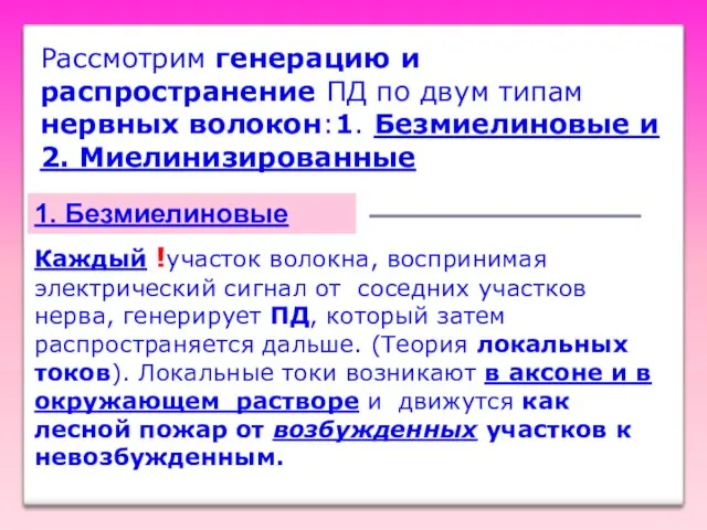 Рассмотрим генерацию и распространение ПД по двум типам нервных волокон:1.