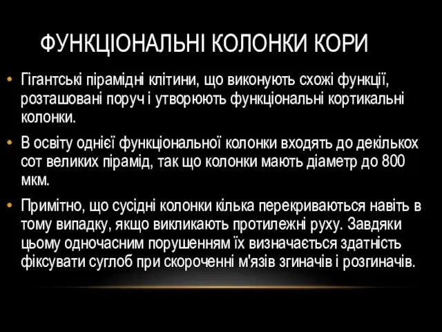 ФУНКЦІОНАЛЬНІ КОЛОНКИ КОРИ Гігантські пірамідні клітини, що виконують схожі функції,